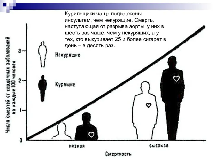 Курильщики чаще подвержены инсультам, чем некурящие. Смерть, наступающая от разрыва аорты,