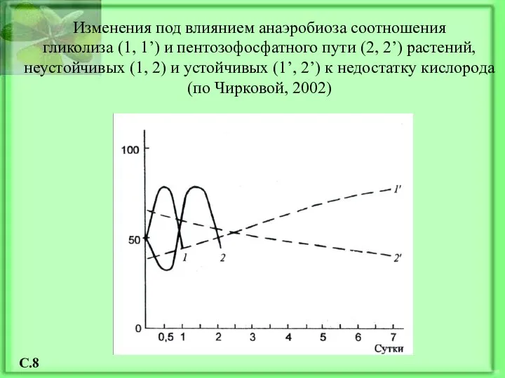 Изменения под влиянием анаэробиоза соотношения гликолиза (1, 1’) и пентозофосфатного пути