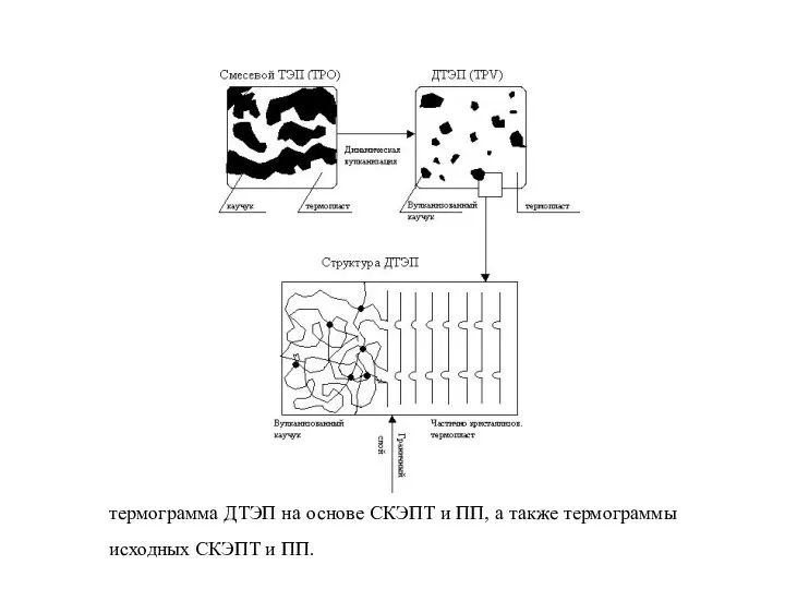 термограмма ДТЭП на основе СКЭПТ и ПП, а также термограммы исходных СКЭПТ и ПП.