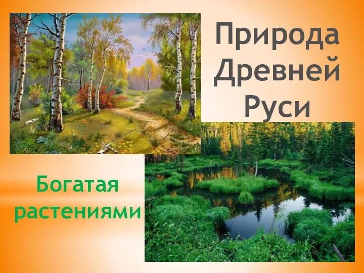 Природа Древней Руси Богатая растениями