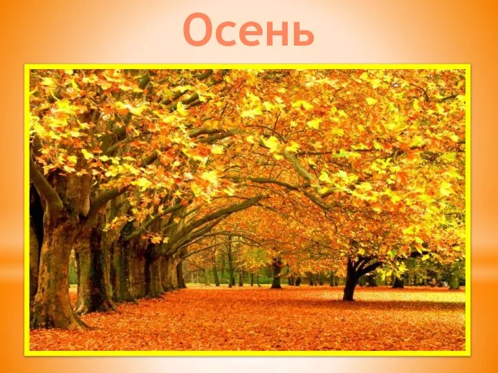 Осень