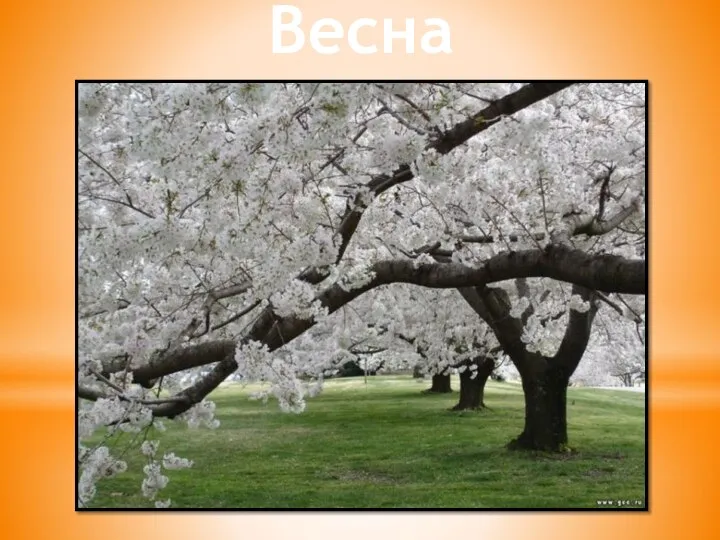 Весна