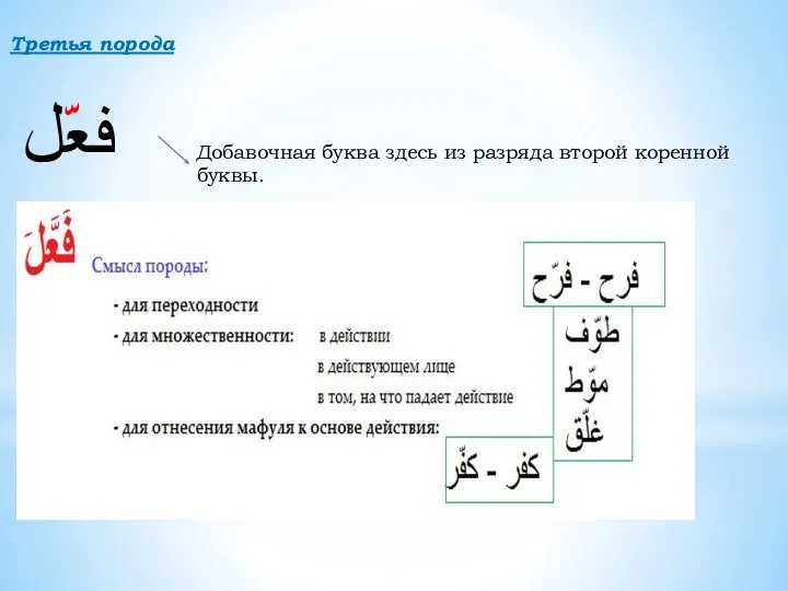 Третья порода فعّل Добавочная буква здесь из разряда второй коренной буквы.