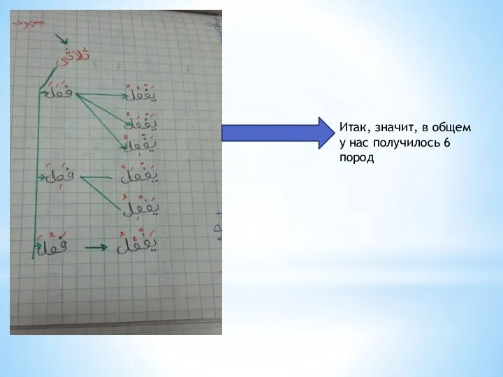 Итак, значит, в общем у нас получилось 6 пород