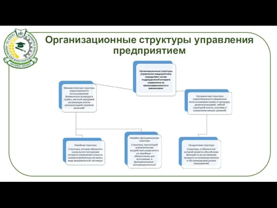 Организационные структуры управления предприятием