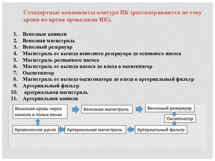 Стандартные компоненты контура ИК (рассматриваются по току крови во время проведения