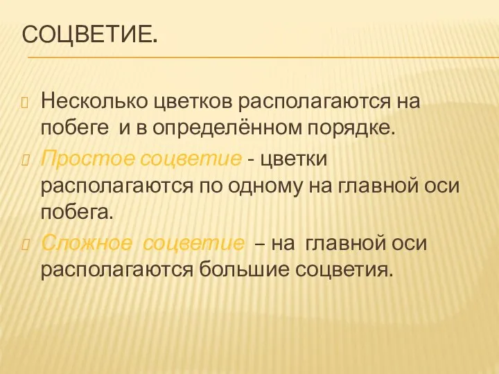 СОЦВЕТИЕ. Hесколько цветков располагаются на побеге и в определённом порядке. Простое