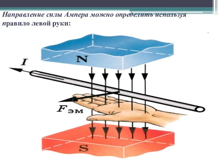 Направление силы Ампера можно определить используя правило левой руки: