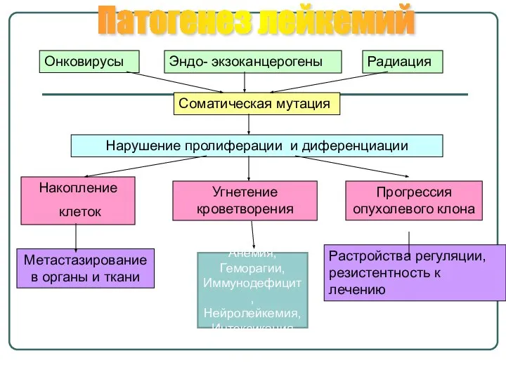 Онковирусы Эндо- экзоканцерогены Радиация Соматическая мутация Нарушение пролиферации и диференциации Накопление