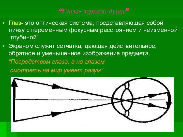 “Глаза- зеркало души” Глаз- это оптическая система, представляющая собой линзу с