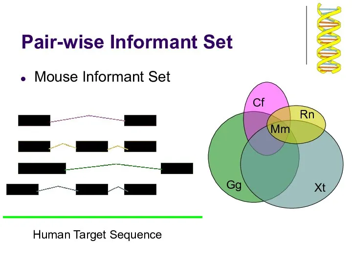 Mm Gg Xt Rn Cf Pair-wise Informant Set Mouse Informant Set Human Target Sequence
