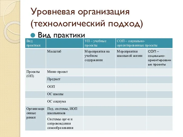 Уровневая организация (технологический подход) Вид практики