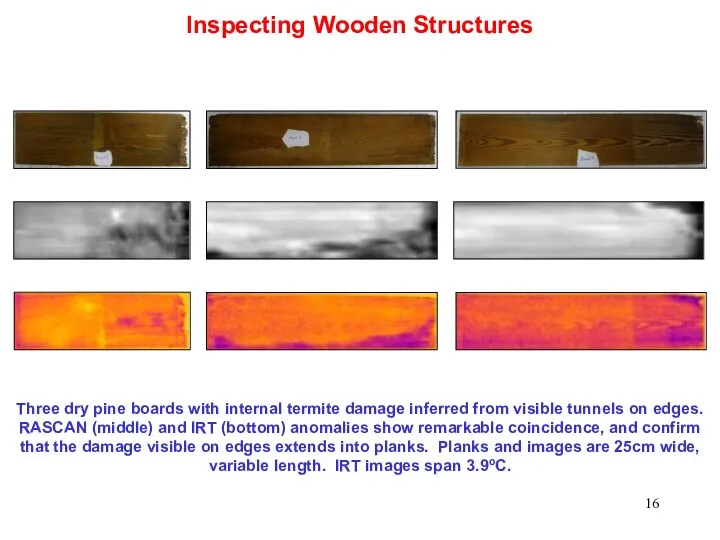 Inspecting Wooden Structures Three dry pine boards with internal termite damage