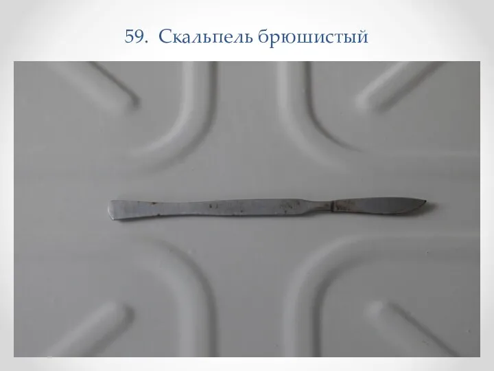 59. Скальпель брюшистый