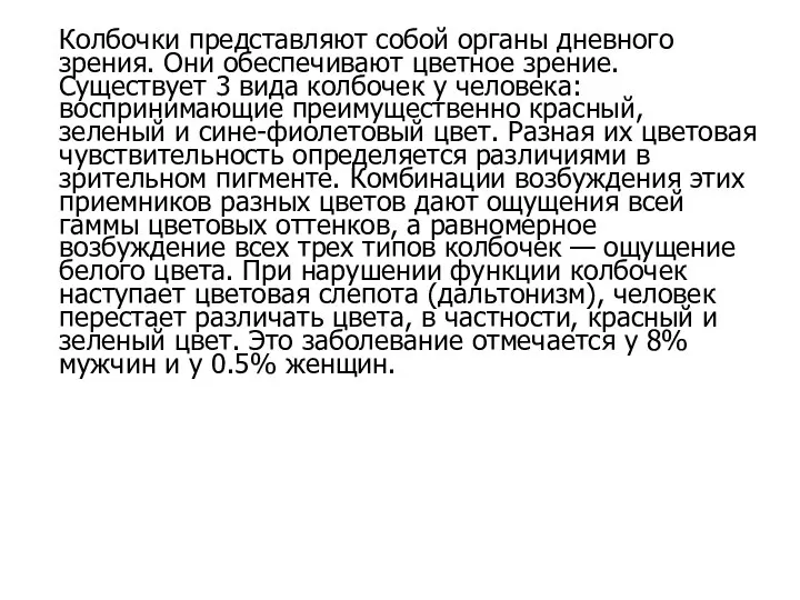 Колбочки представляют собой органы дневного зрения. Они обеспечивают цветное зрение. Существует