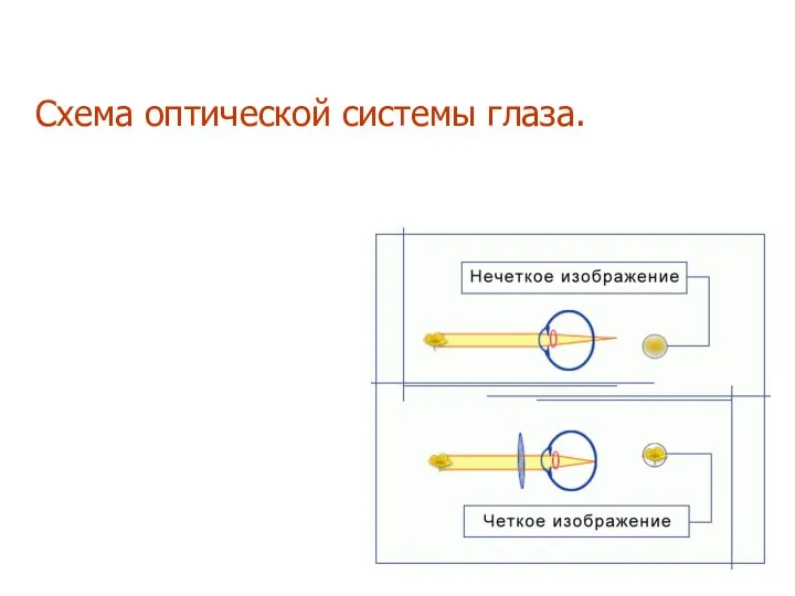 Схема оптической системы глаза.