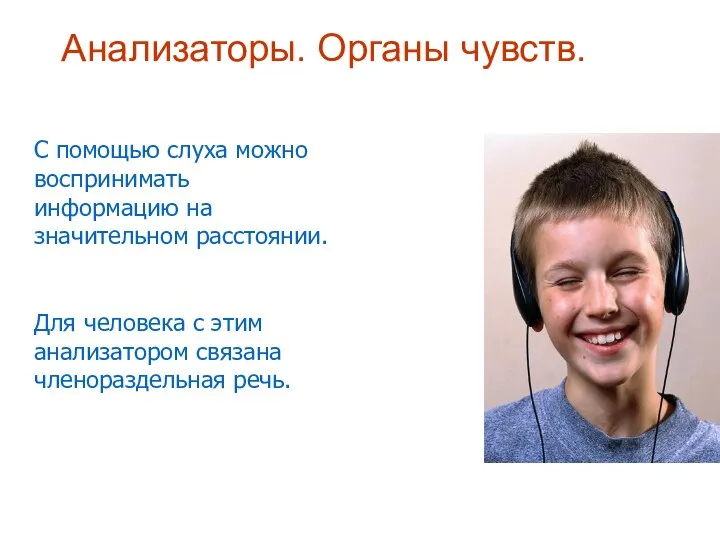 Анализаторы. Органы чувств. С помощью слуха можно воспринимать информацию на значительном