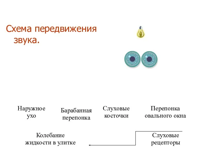 Схема передвижения звука.