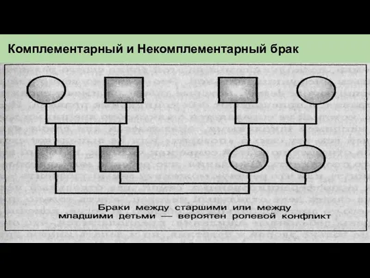 Комплементарный и Некомплементарный брак