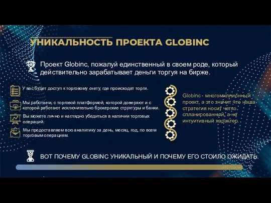 УНИКАЛЬНОСТЬ ПРОЕКТА GLOBINC 11 . Проект Globinc, пожалуй единственный в своем