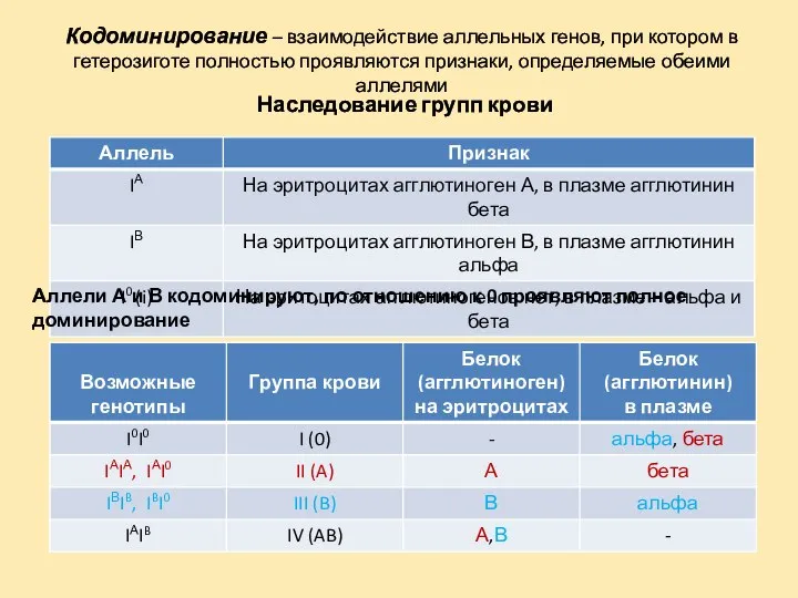 Кодоминирование – взаимодействие аллельных генов, при котором в гетерозиготе полностью проявляются