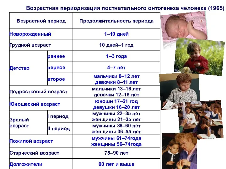 Возрастная периодизация постнатального онтогенеза человека (1965)