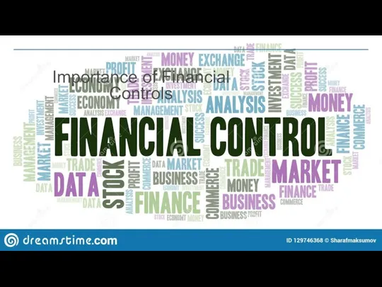 Importance of Financial Controls