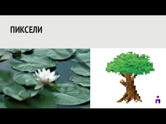 ПИКСЕЛИ