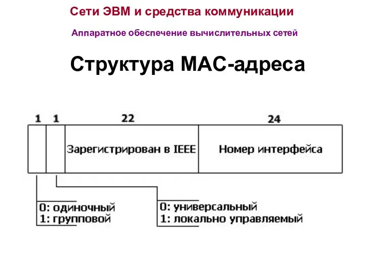 Сети ЭВМ и средства коммуникации Аппаратное обеспечение вычислительных сетей Структура MAC-адреса