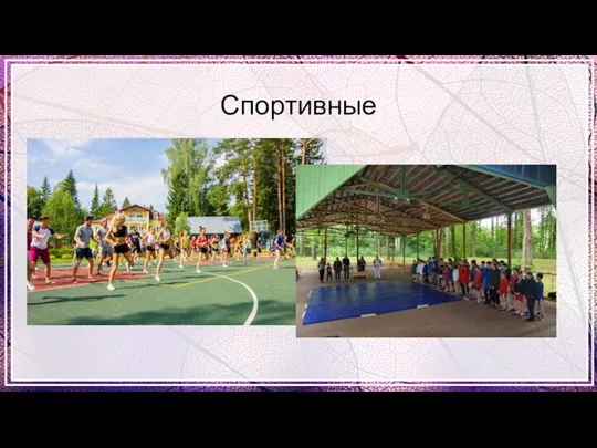 Спортивные