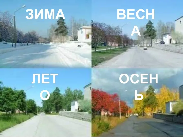 ЗИМА ВЕСНА ЛЕТО ОСЕНЬ