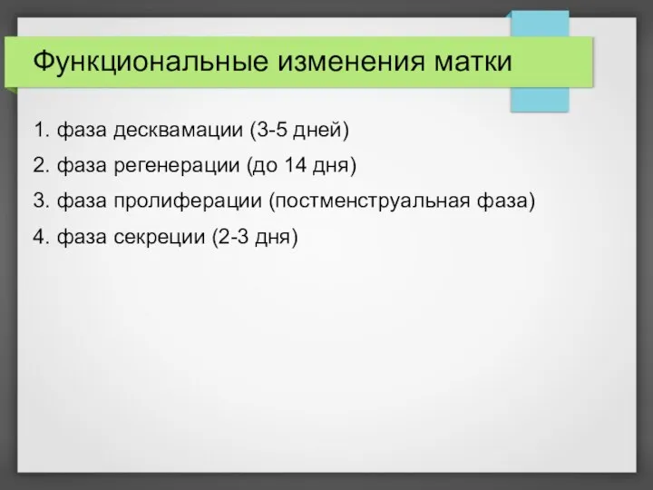 Функциональные изменения матки 1. фаза десквамации (3-5 дней) 2. фаза регенерации