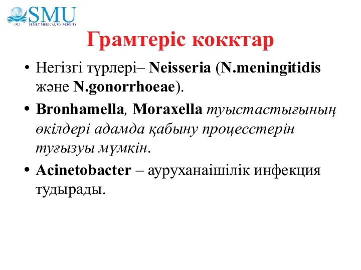 Грамтеріс кокктар Негізгі түрлері– Neisseria (N.meningitidis және N.gonorrhoeae). Bronhamella, Moraxella туыстастығының