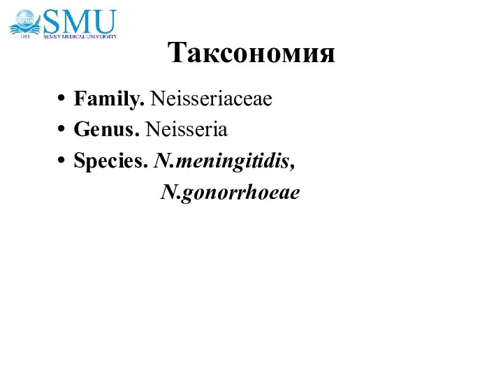 Таксономия Family. Neisseriaceae Genus. Neisseria Species. N.meningitidis, N.gonorrhoeae