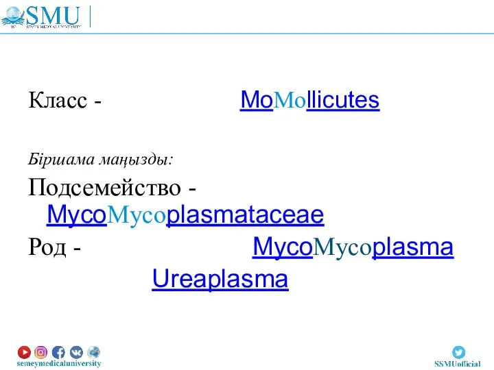 Класс - MoMollicutes Біршама маңызды: Подсемейство - MycoMycoplasmataceae Род - MycoMycoplasma Ureaplasma