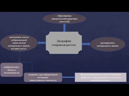 Дизрафия сопровождается: расширением центрального канала образованием дивертикулов(первичных полостей) скоплением клеток эмбриональной