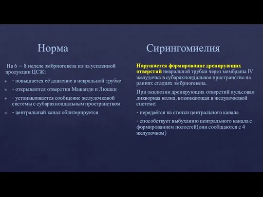 Норма Сирингомиелия На 6 – 8 неделе эмбриогенеза из-за усиленной продукции