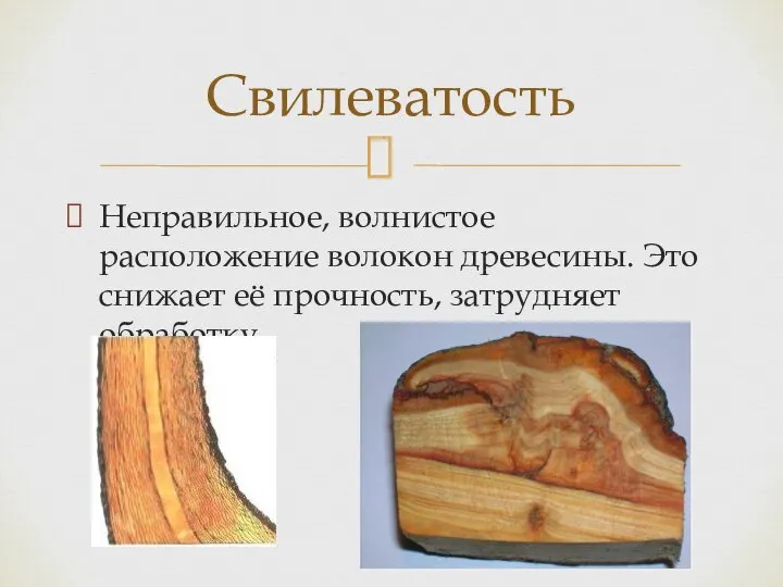 Неправильное, волнистое расположение волокон древесины. Это снижает её прочность, затрудняет обработку. Свилеватость