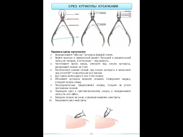 45 СРЕЗ КУТИКУЛЫ КУСАЧКАМИ Правила среза кусачками: Выворачиваем “юбочку” кутикулы фрезой