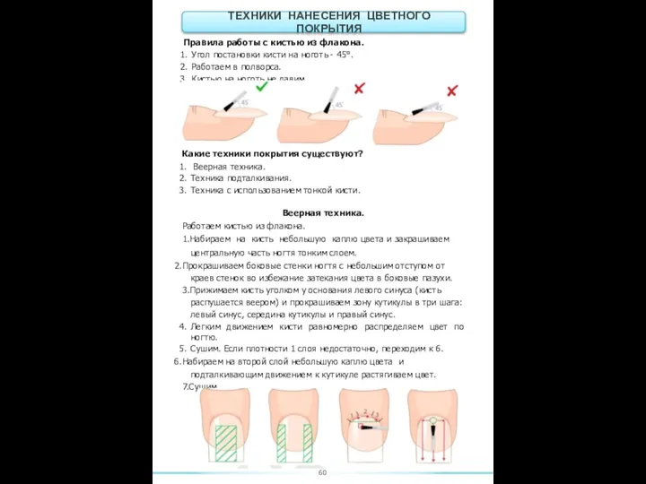 Правила работы с кистью из флакона. Угол постановки кисти на ноготь