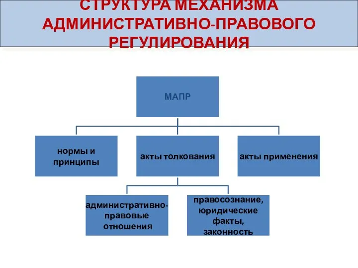 СТРУКТУРА МЕХАНИЗМА АДМИНИСТРАТИВНО-ПРАВОВОГО РЕГУЛИРОВАНИЯ