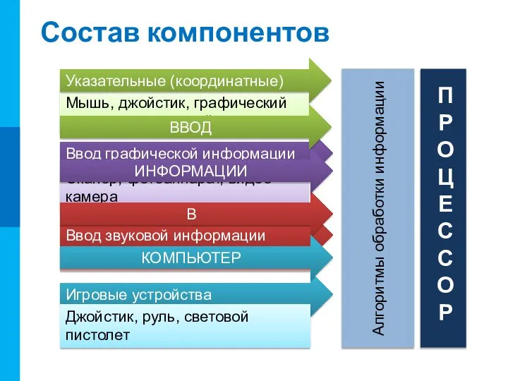 Состав компонентов Мышь, джойстик, графический планшет, сенсорный экран Сканер, фотоаппарат, видео-камера