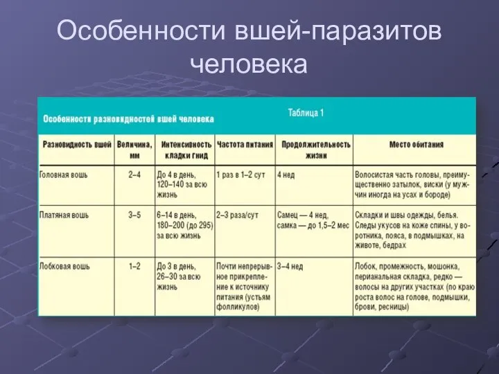 Особенности вшей-паразитов человека