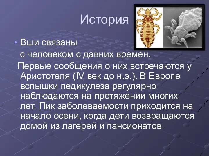 История Вши связаны с человеком с давних времен. Первые сообщения о