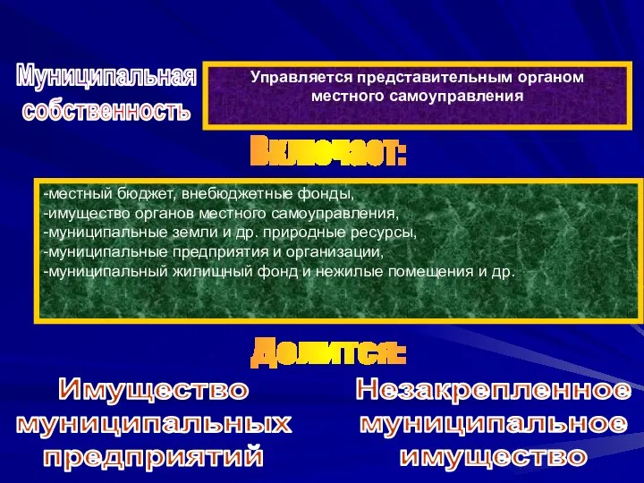 Муниципальная собственность Управляется представительным органом местного самоуправления -местный бюджет, внебюджетные фонды,