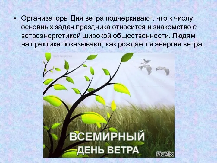 Организаторы Дня ветра подчеркивают, что к числу основных задач праздника относится