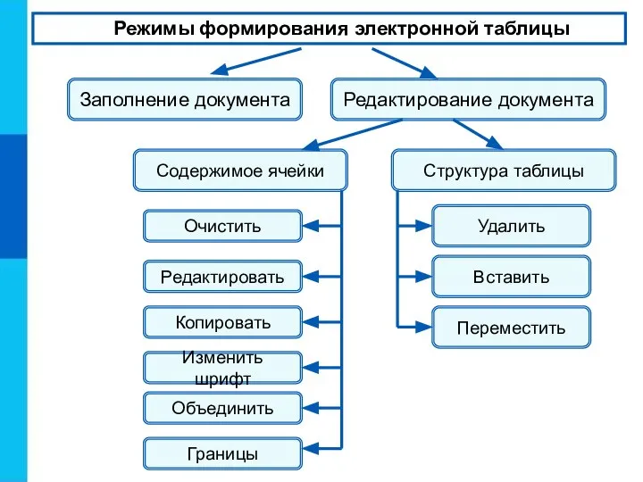 Режимы формирования электронной таблицы Заполнение документа Редактирование документа Содержимое ячейки Структура