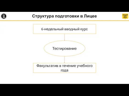 Структура подготовки в Лицее 6-недельный вводный курс Тестирование Факультатив в течение учебного года