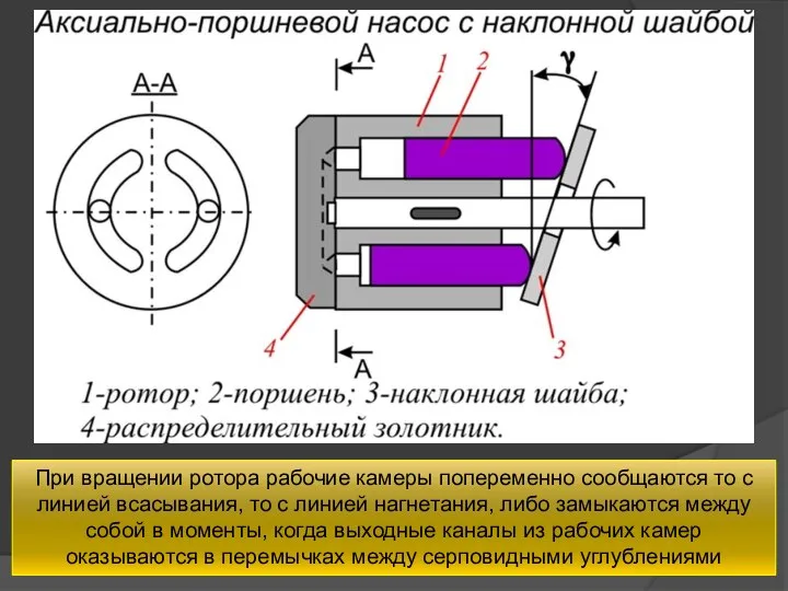 При вращении ротора рабочие камеры попеременно сообщаются то с линией всасывания,