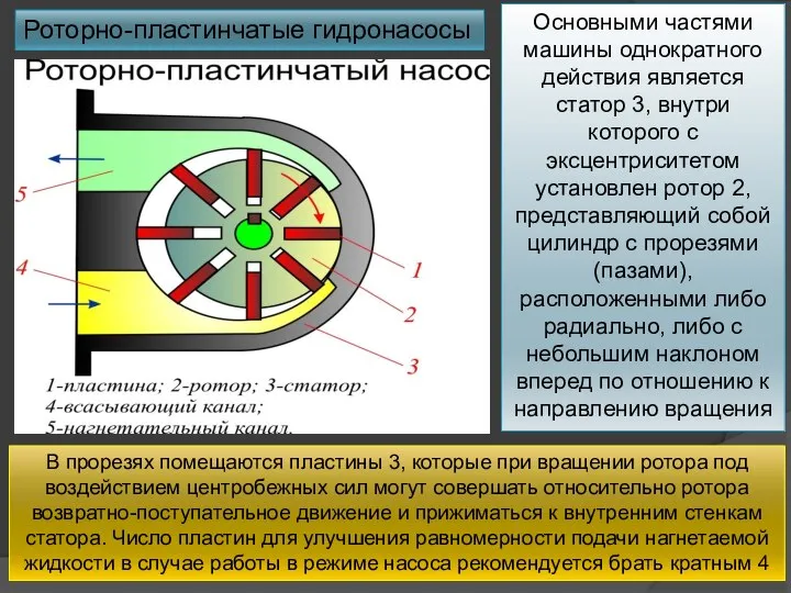 Роторно-пластинчатые гидронасосы Основными частями машины однократного действия является статор 3, внутри